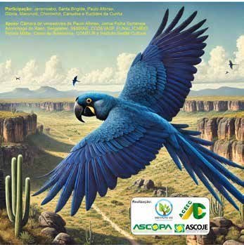 Arte ilustrativa de divulgação da expedição publicada na capa; não é fotografia documental. Legenda editorial.